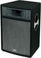 PEAVEY Pro 15P
